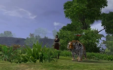 A kitty at my foot and I wanna touch it...