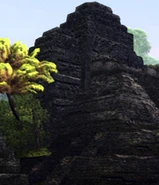 PurpleLotusSwamp1.jpg (35 KB) Black Pyramid