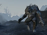 The ultimate holiday destination