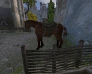 Th MahoganyBay.png (249 KB) Mahogany Bay