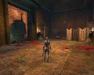 BubshurHouse1.jpg (271 KB) The entrance