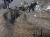 The Breach