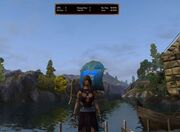 AOC Combat Log