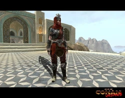 New Turan Armour 4.jpg