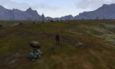 The positioning stones of a Guild City.