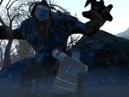 Travellers are warned