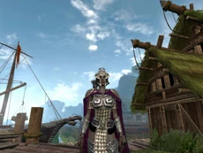 A female Bear Shaman