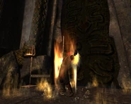 Herald of Xotli - Contract of Protection