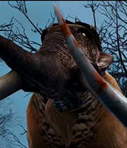 Mammoth img