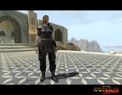 New Turan Armour 3.jpg