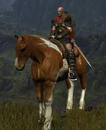 Skahdi.jpg (38 KB) Male Cimmerian Guardian - Level 47