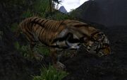 AOCtiger1