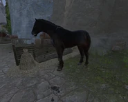 Th FadingBlack.png (229 KB) Fading Black