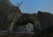 The Entrance to the Spider Cavern