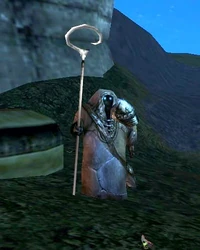 Npc ely one who overvomes enemies