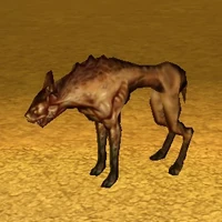 Mob hyena