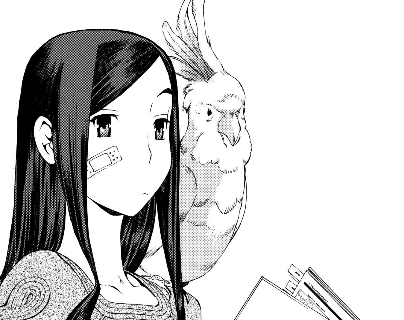 Chihaya Shouzou Aoki Hagane No Arpeggio Wiki Fandom Chihaya Shouzou Aoki Hagane No Arpeggio Wiki Fandom