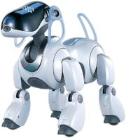 Aibo