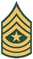 19sergeant-major.png
