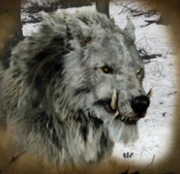 White Wolves | Age of the Ring Mod Wiki | Fandom