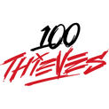 100 Thieveslogo square.png