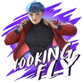 Looking Fly 400