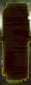 DDoS 60