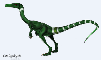 Coelophysis