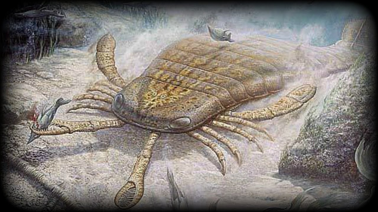 jaekelopterus