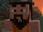 Paul (Minecraft Diaries)
