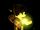 Magicks