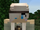 Zoey (Minecraft Diaries)