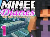 Minecraft Diaries