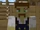 Visher (Minecraft Diaries)