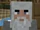 Old Fisherman (Minecraft Diaries)