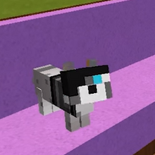 Zane Mystreet Aphmau Wiki Fandom