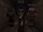 Trall (Minecraft Diaries)