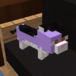 Aphmau as a cat