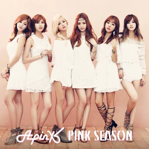 PINK SEASON | Apink Wiki | Fandom