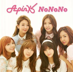 ver. Namjoo) APINK A-PINK 3rd Mini Album Secret Garden