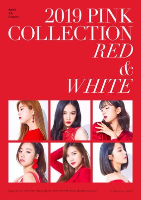 Apink ポラロイド　トレカ　6枚　Red&White Apink ポラロイドトレカ6枚Red&White