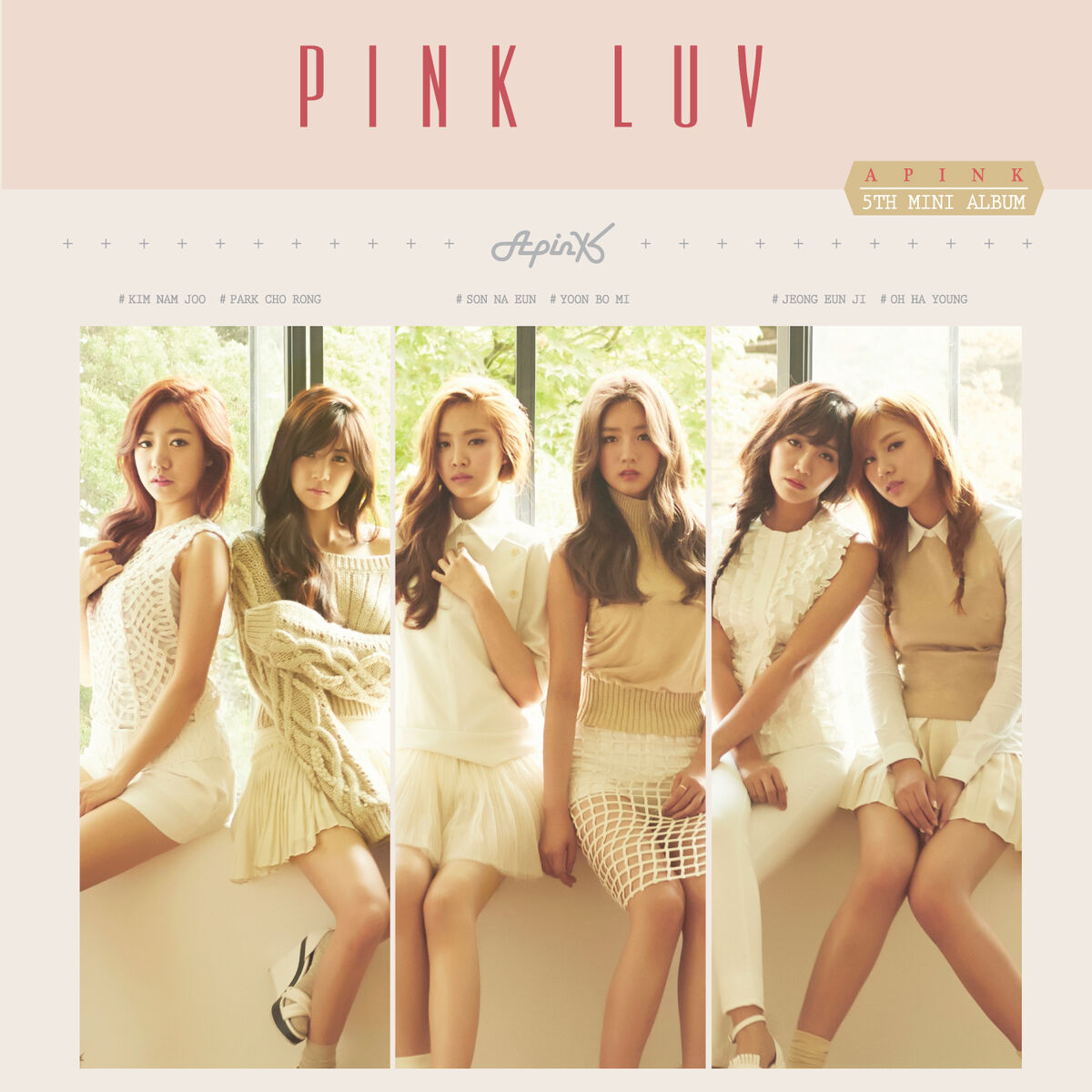 Pink LUV | Apink Wiki | Fandom
