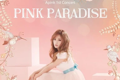 Apink LIVE DVD Pink Paradise 未開封 Apink LIVE DVD Pink Paradise 未開封