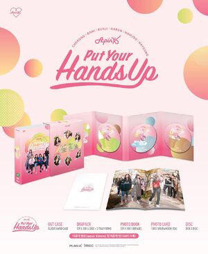 APINK - Put Your Hands Up DVD 新品未開封品 Put Your Hands Up | Apink Wiki | Fandom