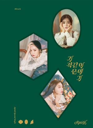 K-POP・アジア Apink Miracle Miracle | Apink Wiki | Fandom