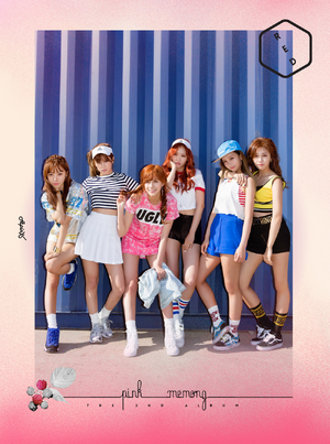 Pink Memory | Apink Wiki | Fandom