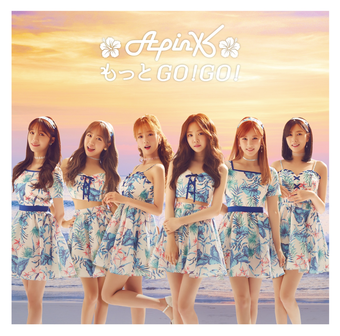 Apink 公式トレカ セット　もっとGOGO ① Apink 公式トレカ セット もっとGOGO ① アイドルグッズ