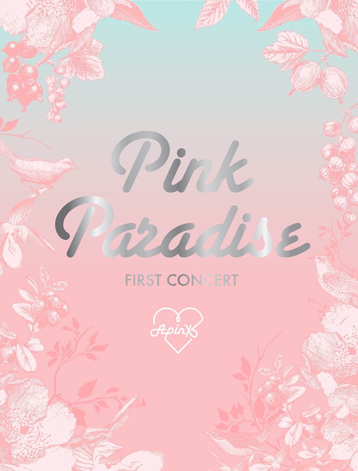 Apink LIVE DVD Pink Paradise 未開封