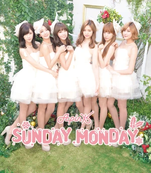Apink SUNDAY MONDAY ナムジュ直筆サイン&メッセージ入り Apink SUNDAY MONDAY ナウン直筆サイン&メッセージ入り Apink SUNDAY