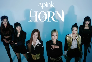 Apink Single Collection | Apink Wiki | Fandom